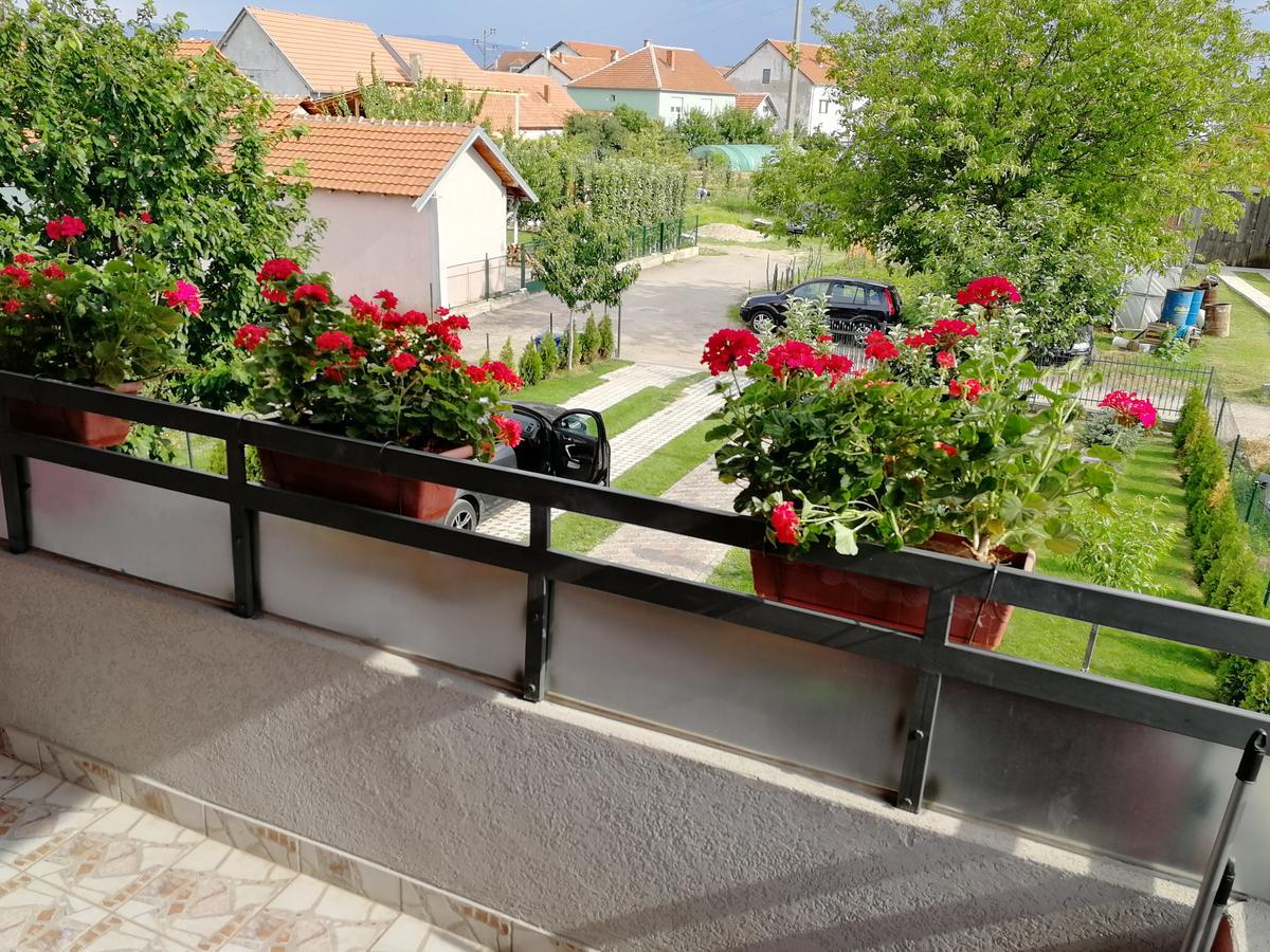 Apartments "Predah Kod Baraca" Ni エクステリア 写真