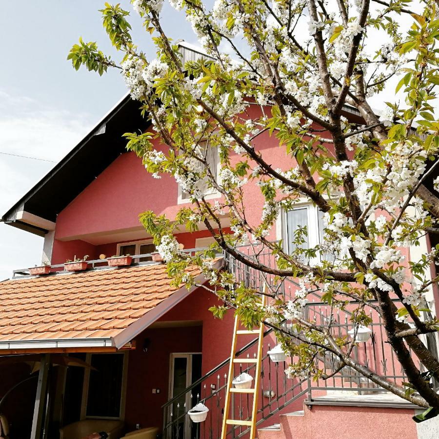 Apartments "Predah Kod Baraca" Ni エクステリア 写真